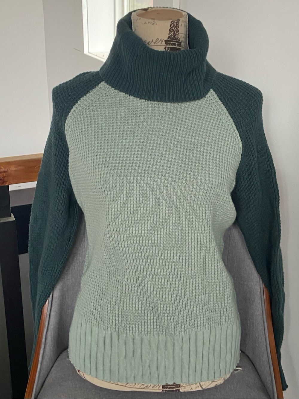 Madewell Two-Tone Raglan Turtleneck Sweater in Light Sage and Forest